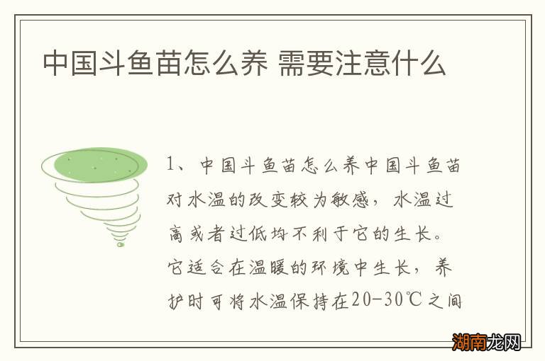 中国斗鱼苗怎么养 需要注意什么