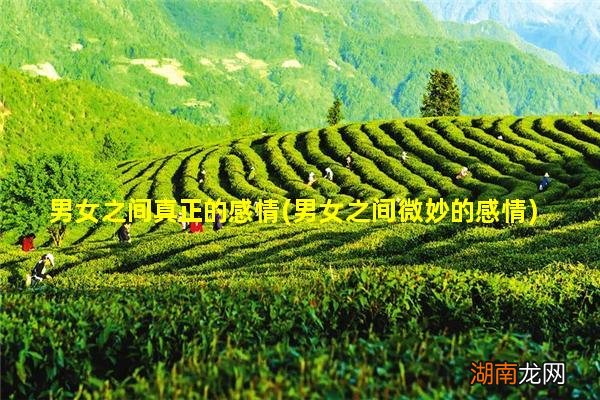 男女之间微妙的感情 男女之间真正的感情