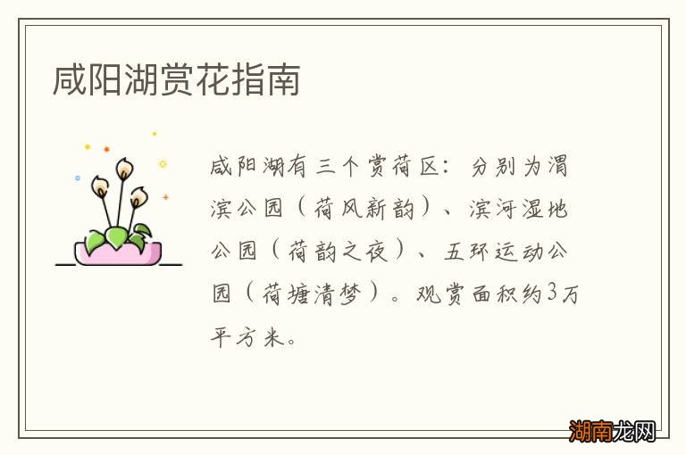 咸阳湖赏花指南