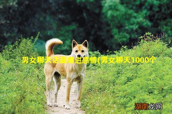 男女聊天1000个话题 男女聊天话题增进感情