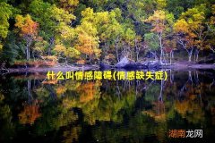 情感缺失症 什么叫情感障碍