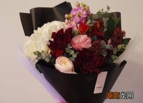 看望病人送花注意要点 给病人送什么花合适一点