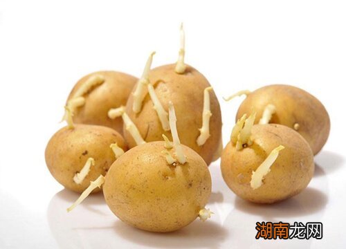 家庭种土豆的方法和步骤如下