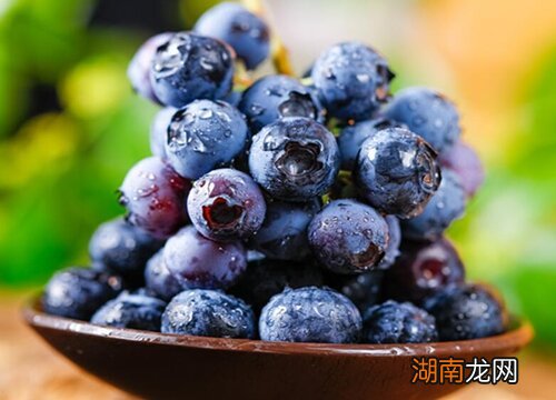 主要成熟期在7-8月的夏季 蓝莓的成熟季节是几月份