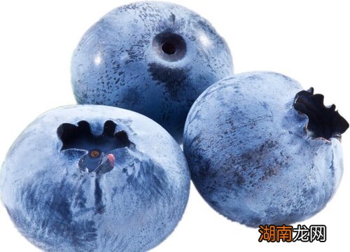 主要成熟期在7-8月的夏季 蓝莓的成熟季节是几月份
