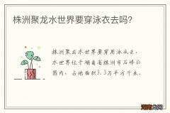 株洲聚龙水世界要穿泳衣去吗？