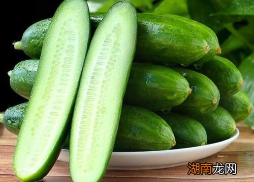 乳瓜是黄瓜的一个特色品种 乳瓜和黄瓜有什么区别