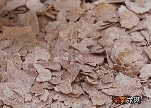 什么样的饼肥养花最好 哪种饼肥最好用