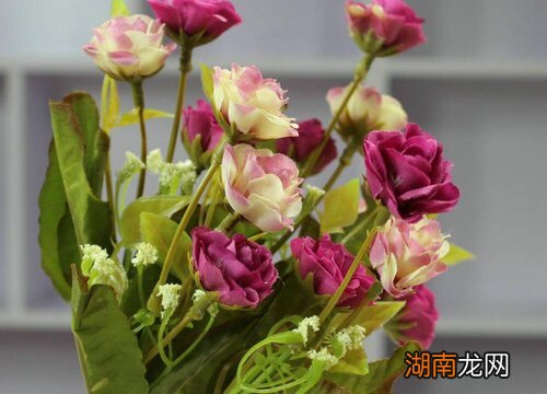 家门口最好不要放的5样东西 一进门看见假花好不好