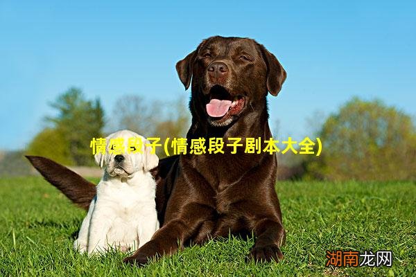 情感段子剧本大全 情感段子