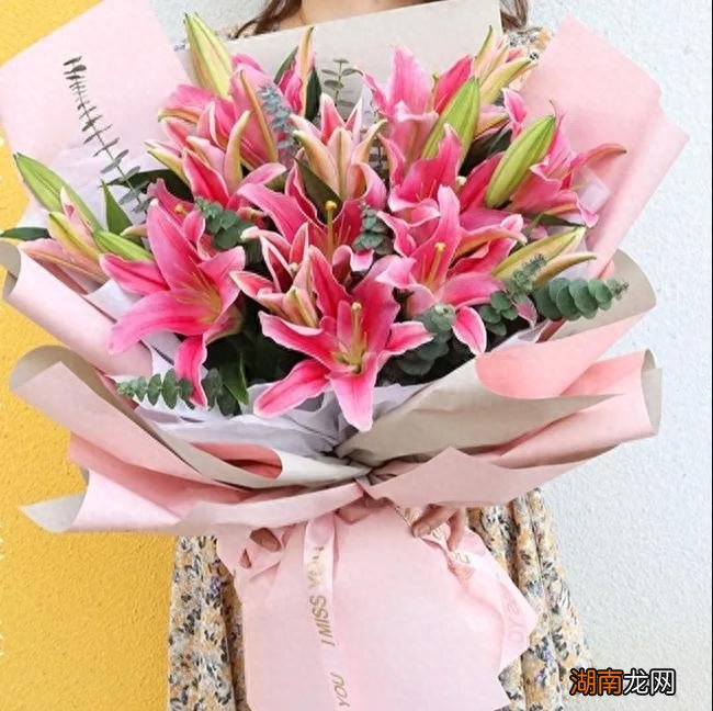 给老人送花应该送什么花好