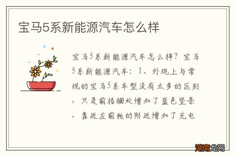 宝马5系新能源汽车怎么样