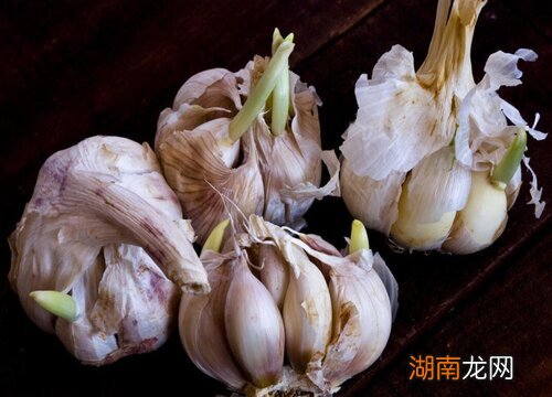 9月份是大蒜播种的高峰期 大蒜几月份开始种植最合适