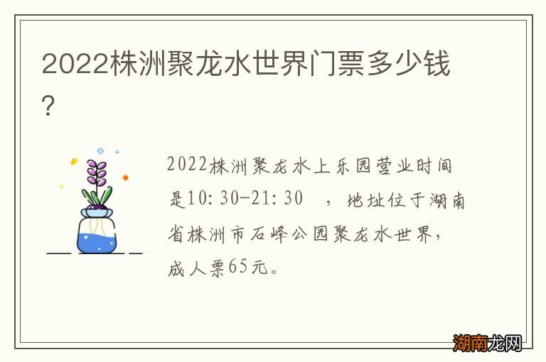 2022株洲聚龙水世界门票多少钱？