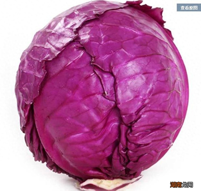 几种适合农村种植的特色农产品推荐