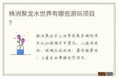 株洲聚龙水世界有哪些游玩项目？