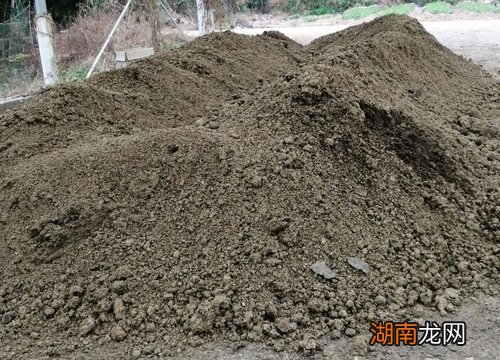 种菜底肥放底部还是混在土里 种菜底肥用什么肥料好一些