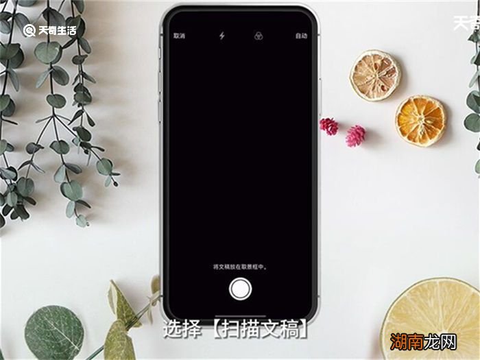 苹果怎么扫描图片上的文字变成文档 苹果如何扫描图片上的文字变成文档