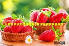 电台情感故事音频在线收听 电台在线收听情感故事