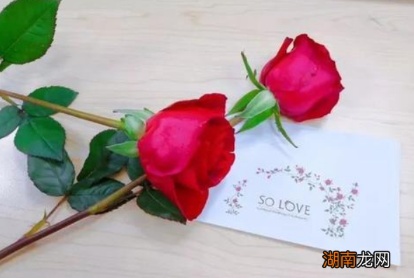 第一次送女朋友花送什么花合适?卡片写什么好?