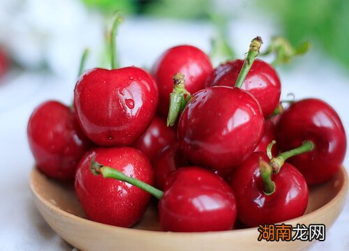 樱桃种植条件和区域要求介绍