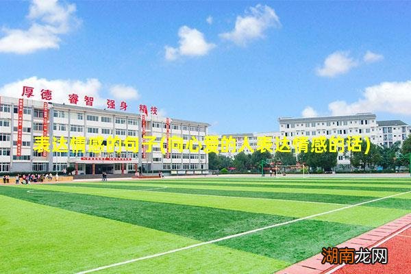 向心爱的人表达情感的话 表达情感的句子