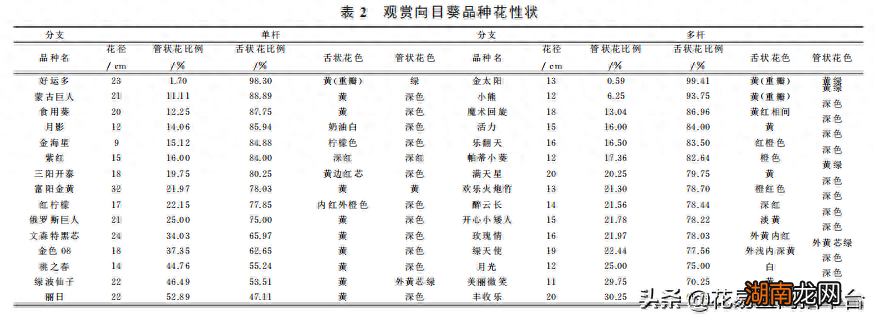 乌克兰国花为什么是向日葵 乌克兰国花是什么花名花