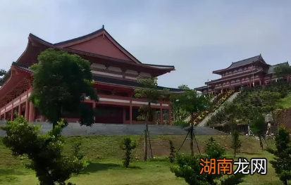 林士弘为什么成为隋末南方农民起义军领袖?他经历了什么?