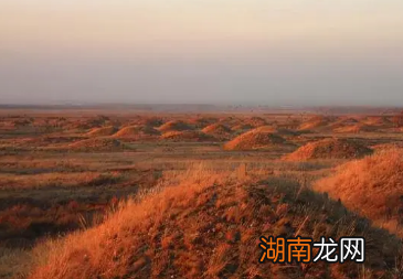 历史上真实的王世充是怎样的？与演义中的形象相去甚远