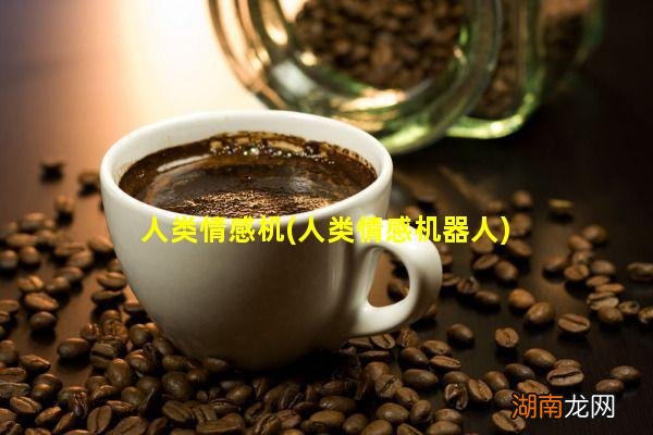 人类情感机器人 人类情感机