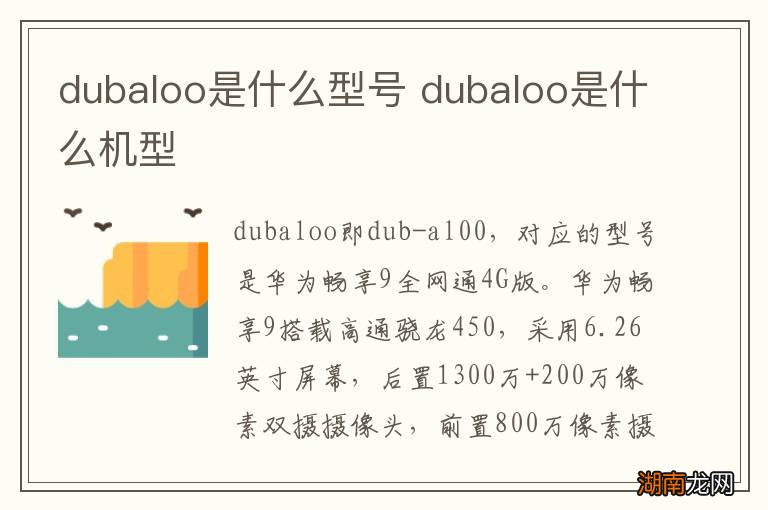 dubaloo是什么型号 dubaloo是什么机型