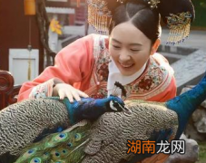 古代的宫女们为什么都害怕被皇帝看上呢？