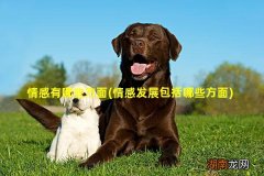 情感发展包括哪些方面 情感有哪些方面