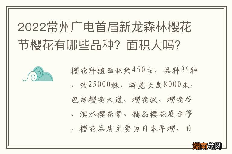 2022常州广电首届新龙森林樱花节樱花有哪些品种?面积大吗?