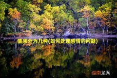 如何处理感情的问题 情感分为几种