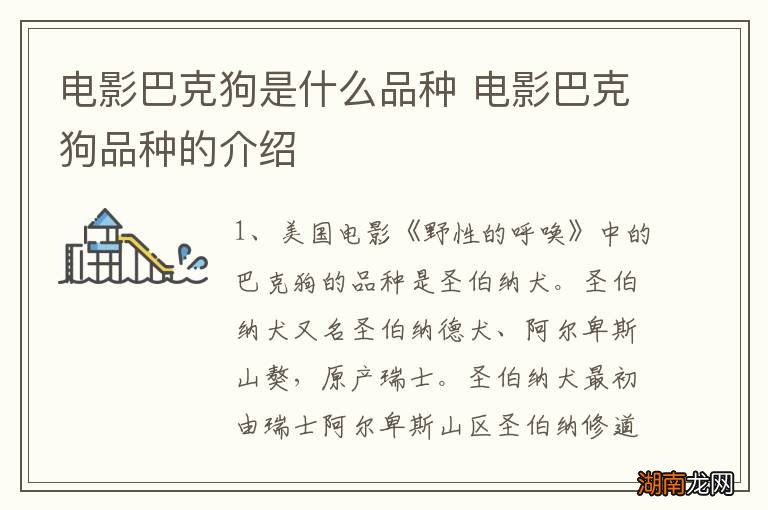 电影巴克狗是什么品种 电影巴克狗品种的介绍