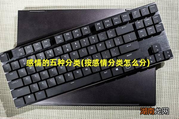 按感情分类怎么分 感情的五种分类