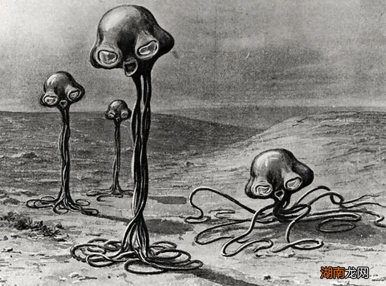 在小绿小灰之前，外星人“长”什么样？