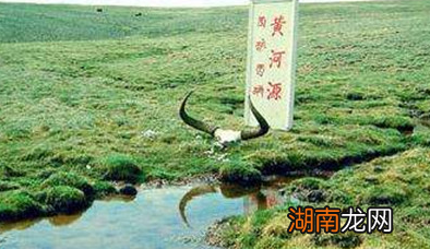 历史上张骞出使西域的真正目的是什么?