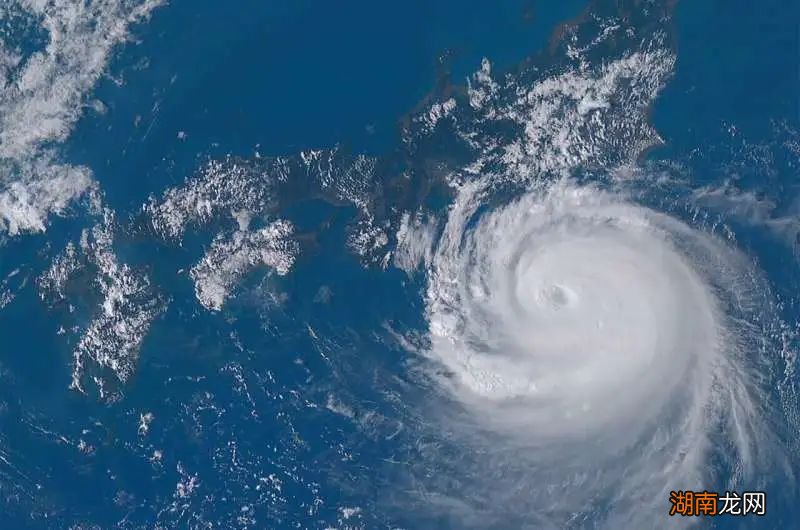 猫猫掉的毛很有用,抓凶手可能得靠它!丨自然小喇叭