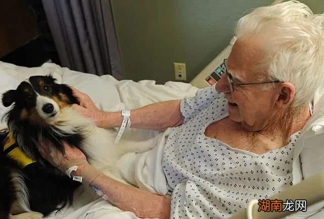 猫猫掉的毛很有用,抓凶手可能得靠它!丨自然小喇叭