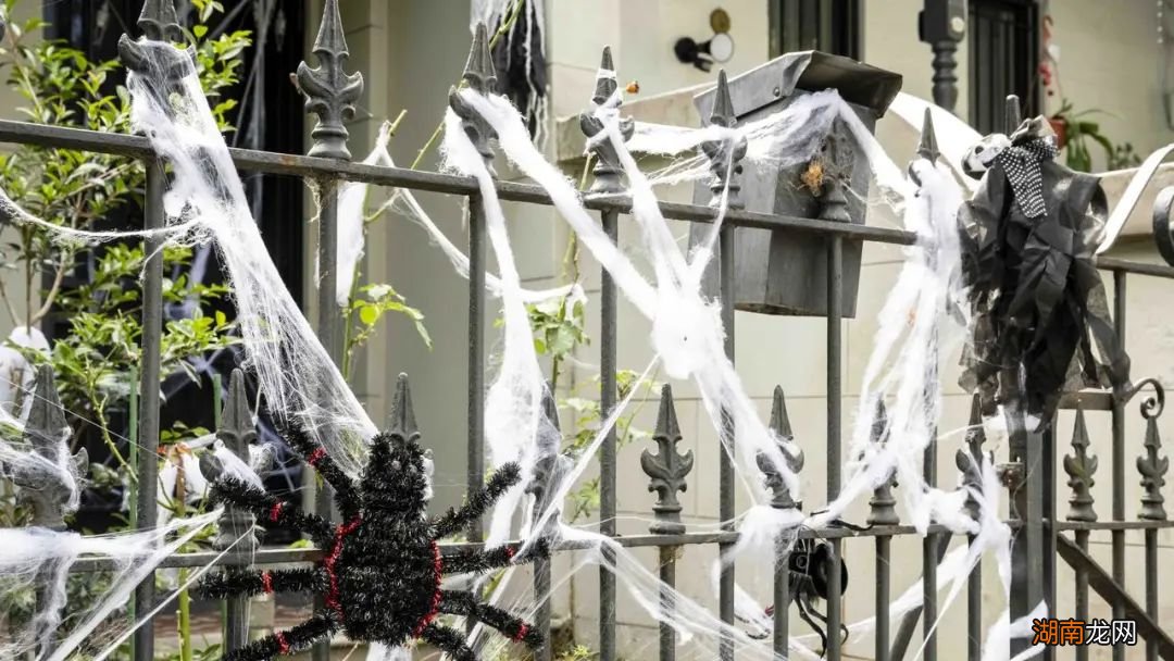 猫猫掉的毛很有用,抓凶手可能得靠它!丨自然小喇叭