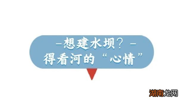 表情包届新“顶流”loopy，现实中还得看河的脸色行事……