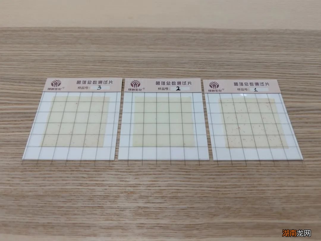 说真的,内裤袜子丢进洗衣机比手洗好!