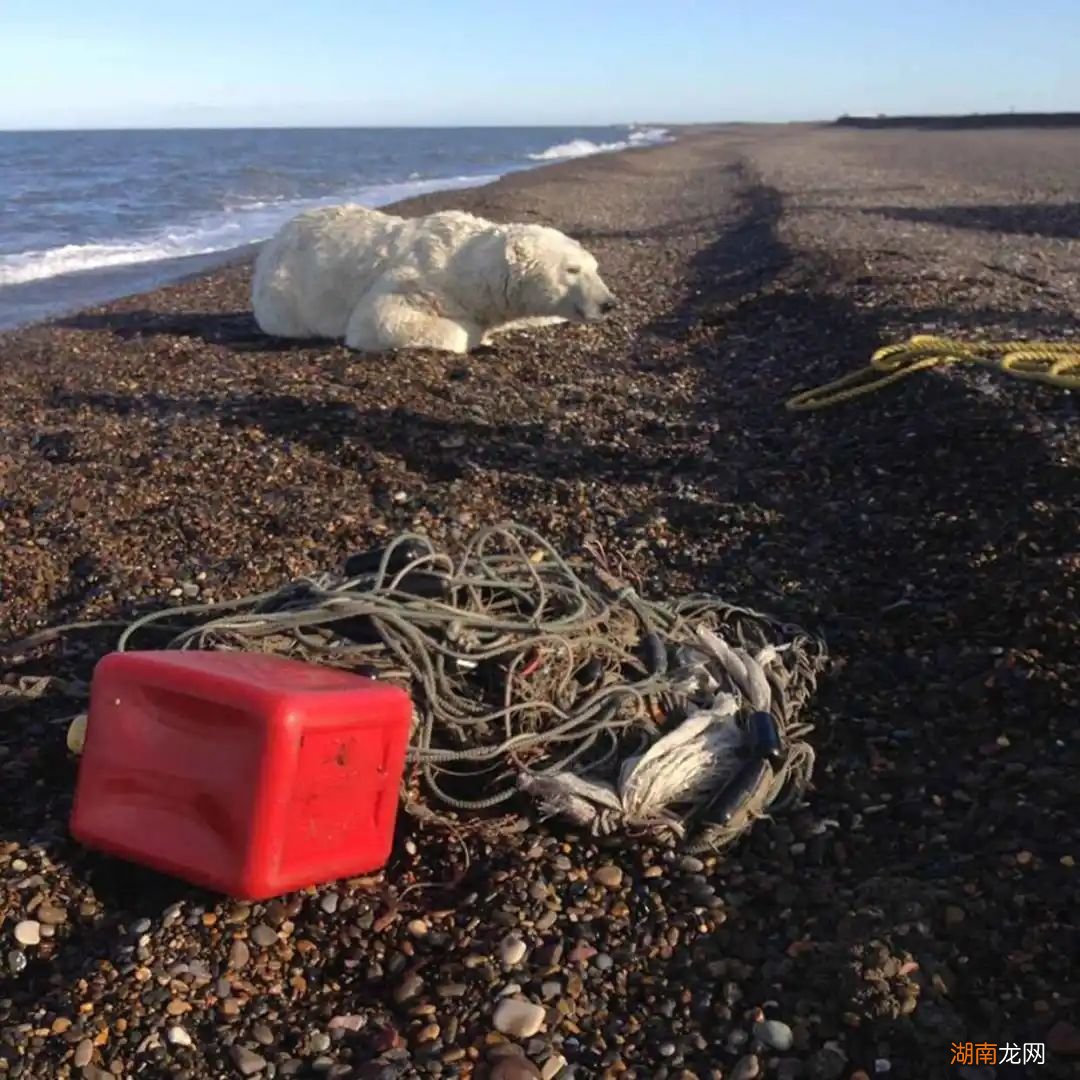 快穿文:渔网重生之我变成了N种身份!