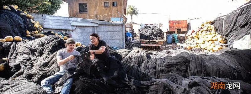 快穿文:渔网重生之我变成了N种身份!