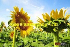 偶像剧般的恋爱情节文案 恋爱情节