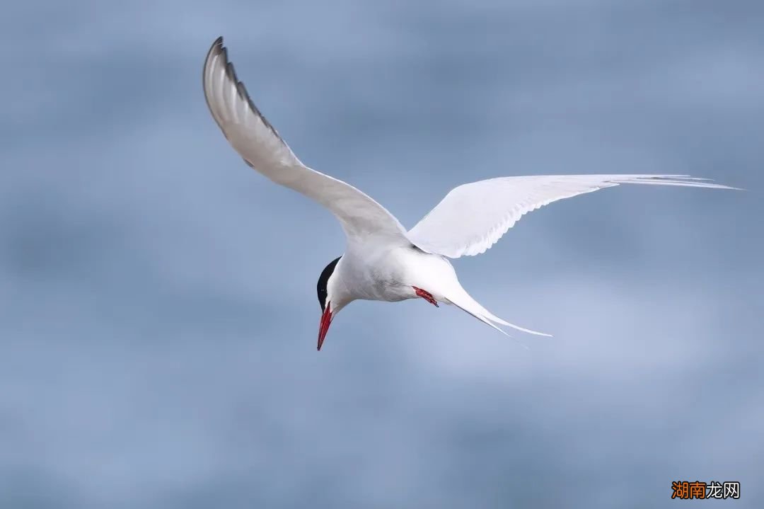 孙悟空翻不出如来手掌心,这背后竟然还有物理学道理!