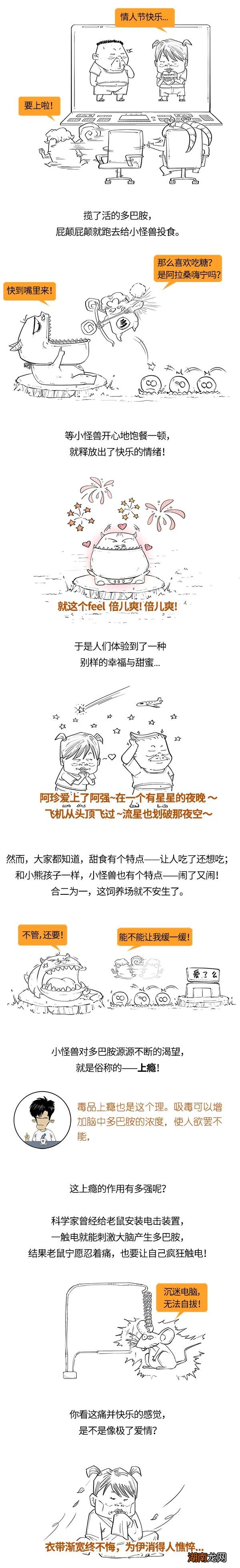 爱情这东西，居然也有科学道理？