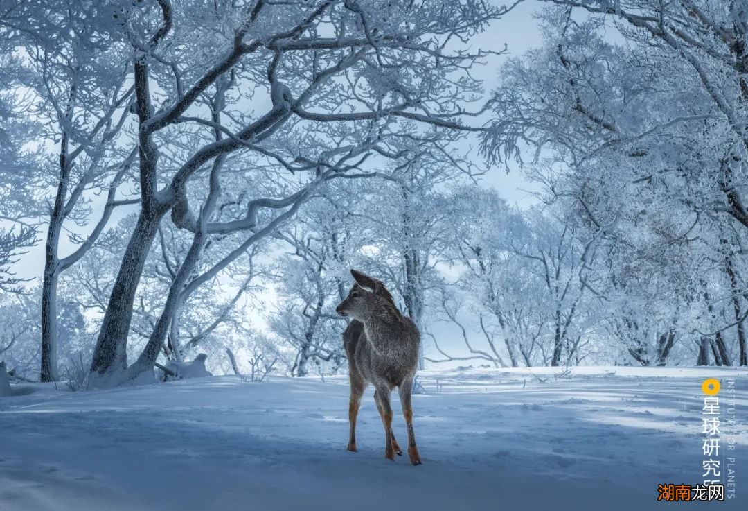 去长白山撒野!寻觅雪国秘境